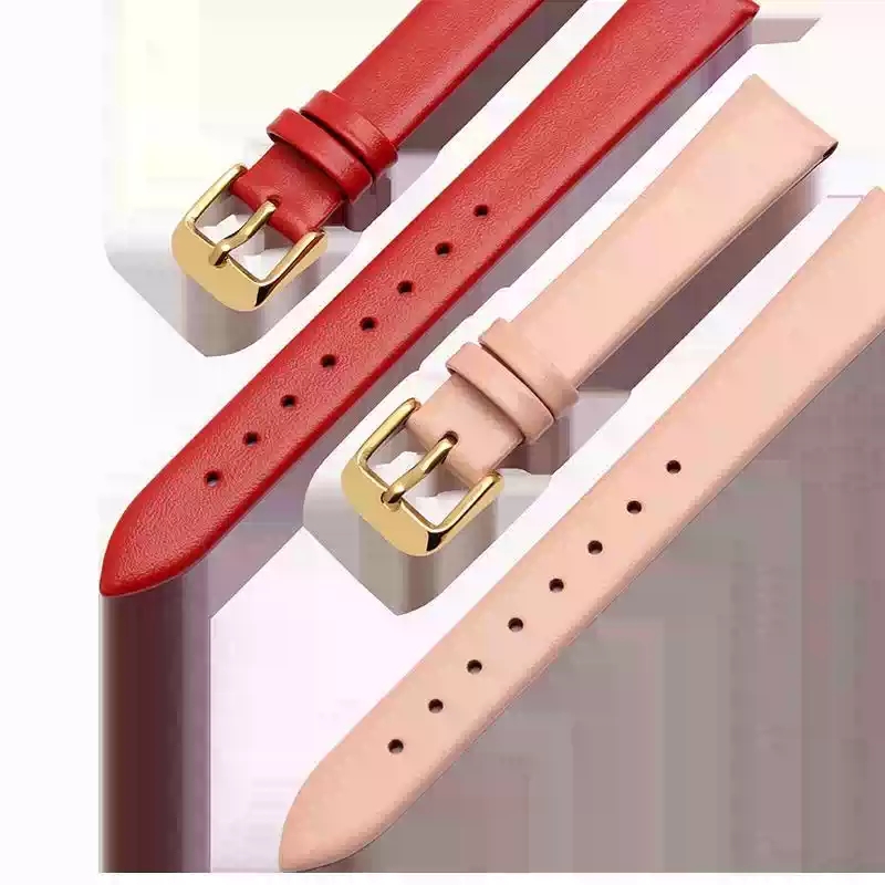 Daniel Wellington Watches & Jewelry Online Store - Accessoires de montre 12mm-24mm bracelet de